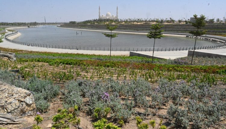 النهر الأخضر .. رئة خضراء في العاصمة الإدارية الجديدة