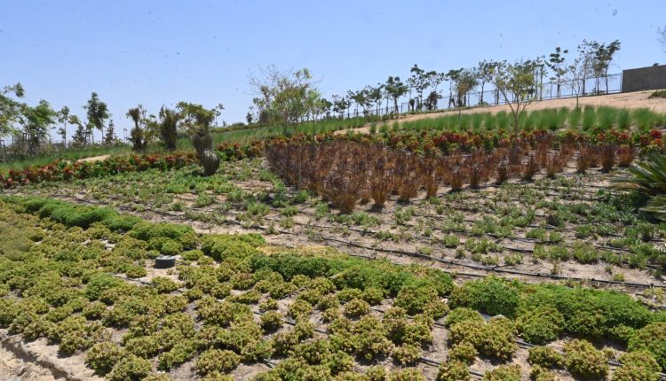 النهر الأخضر .. رئة خضراء في العاصمة الإدارية الجديدة