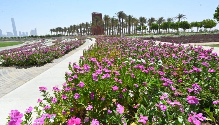 النهر الأخضر .. رئة خضراء في العاصمة الإدارية الجديدة